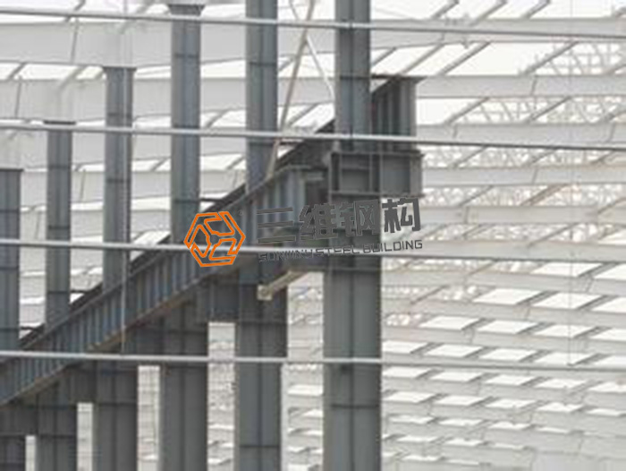 山東三維鋼構公司輕鋼廠房項目